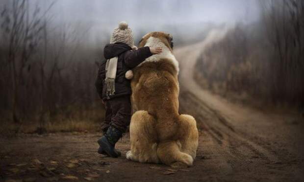 Лучшие фотографии 2014 фото, лучшие