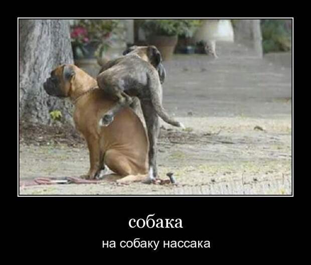 Демотиваторы  (30 фотографий)