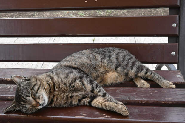 Погода 12 февраля: днём до +13