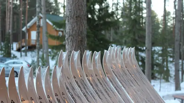 Олимпийская чемпионка по лыжным гонкам Колчина скончалась на 92-ом году жизни