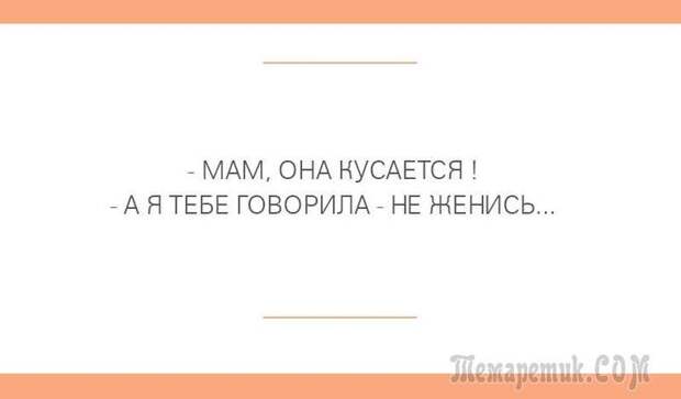 Шутки со страниц интернета