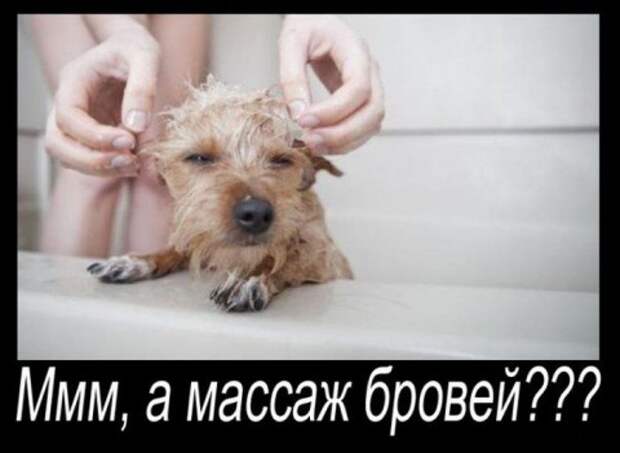 полезные дела