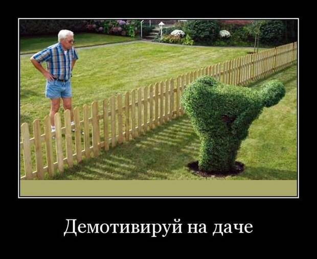 Демотиваторы  (30 фотографий)
