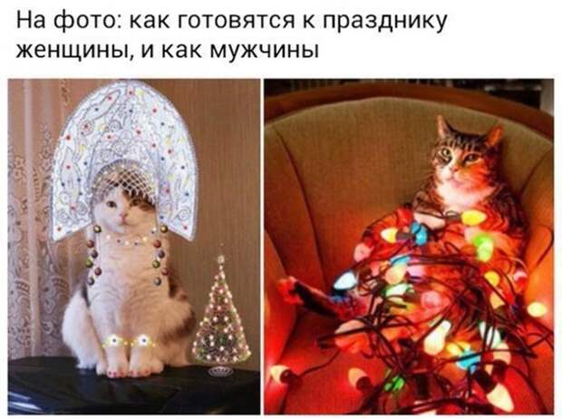 Смешная галерея фотоприколов # 140