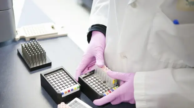 ВОЗ с ноября отслеживает обнаруженный во Франции новый штамм COVID-19