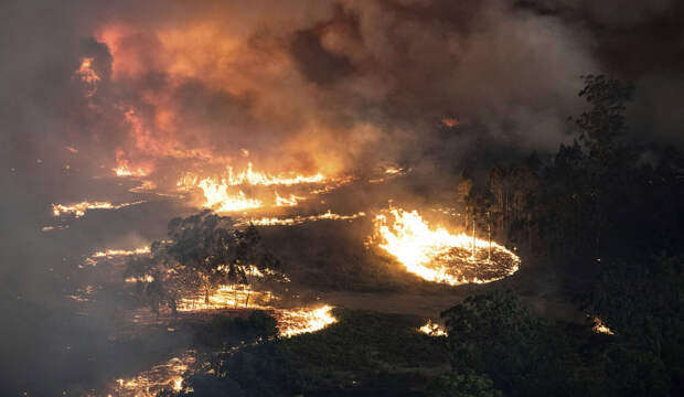 В Австралии бушуют лесные пожары