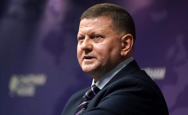 На фото: посол Украины в Великобритании Валерий Залужный