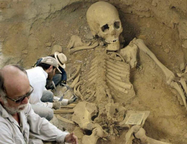 Гигантские скелеты бросают вызов всему, что мы знаем об эволюции человека