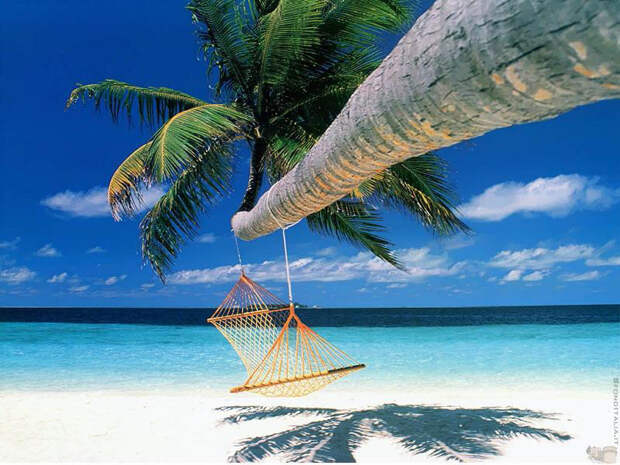 25 мест для гамака hammock01 25 мест идеальных для того, чтобы полежать в гамаке