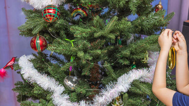 Как продлить жизнь елке: советы без магии и суеверий