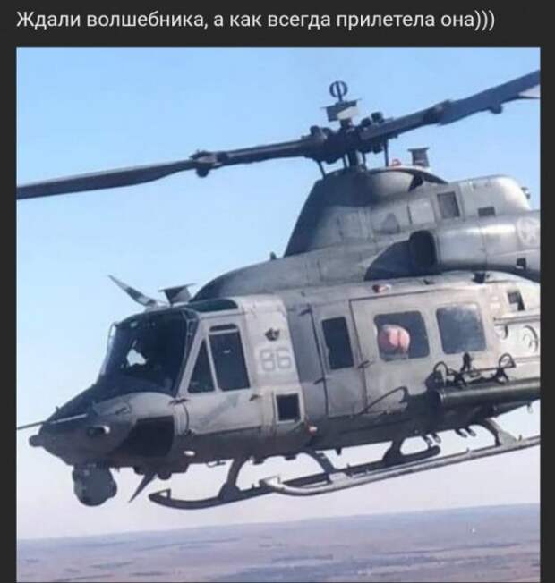 Юмор на любителя Юмор на любителя