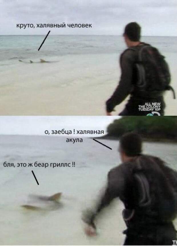 Прикольные картинки Прикольные картинки