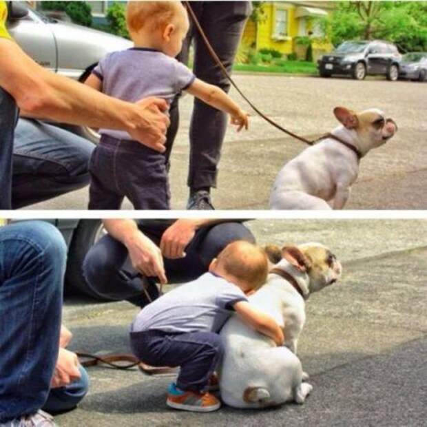 Прикольные фотки и картинки