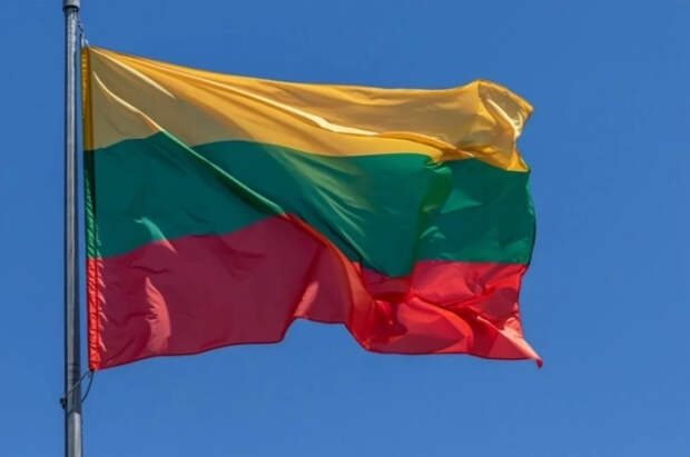 Суд в Литве оправдал учительницу, которая призывала русских уезжать в РФ