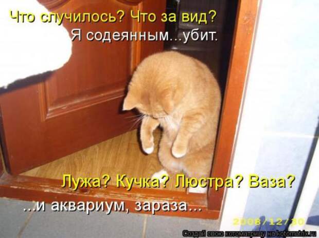 Котоматрицы (картинки с надписями)