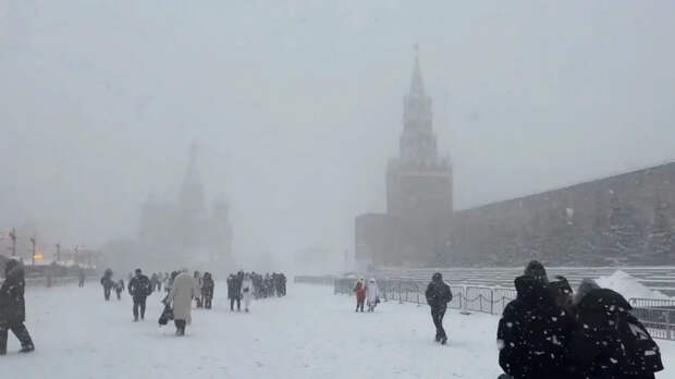 Снежный шторм в Москве: Предупреждение властей. Что происходит на дорогах
