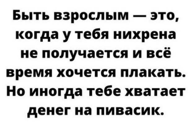 картинки прикольные смешные (25)