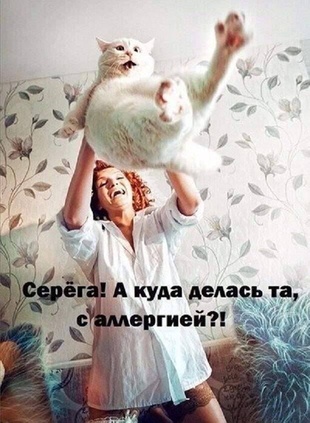 Баянисто-небаянистый юмор