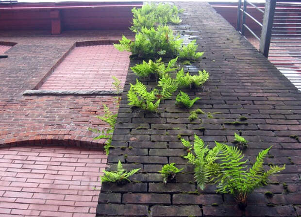 24 фото, доказывающих, что самая большая сила на Земле - природа, а не люди