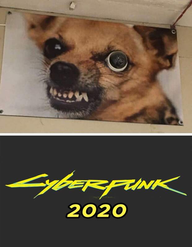 Смешные картинки 21 августа 2020