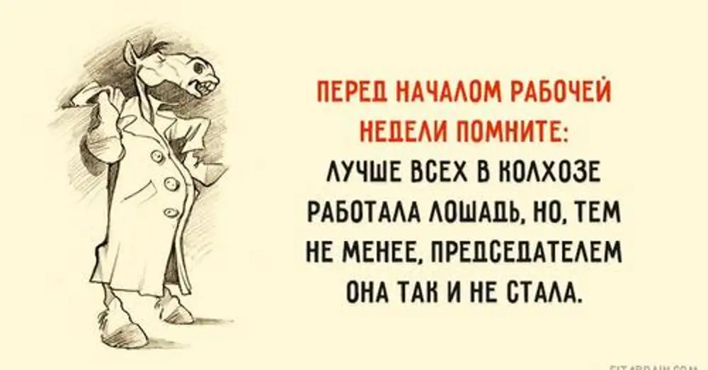 Помнить перед. Перед началом рабочей недели помните. В колхозе больше всех работала лошадь. Лучше всех в колхозе работала. Афоризмы про трудоголиков смешные.