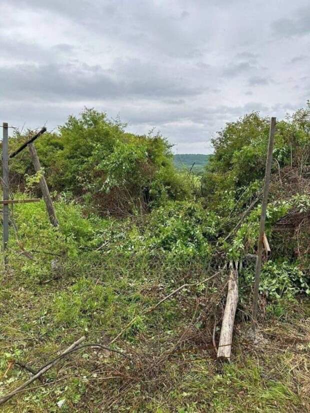 Фронтовая сводка на утро 11.06.2024 г. от Телеграм-канала WarGonzo. ЗАПОРОЖСКИЙ ФРОНТ ЛБС без существенных изменений. Продолжаются позиционные бои в районе РАБОТИНО и северо-западнее ВЕРБОВОГО.-11