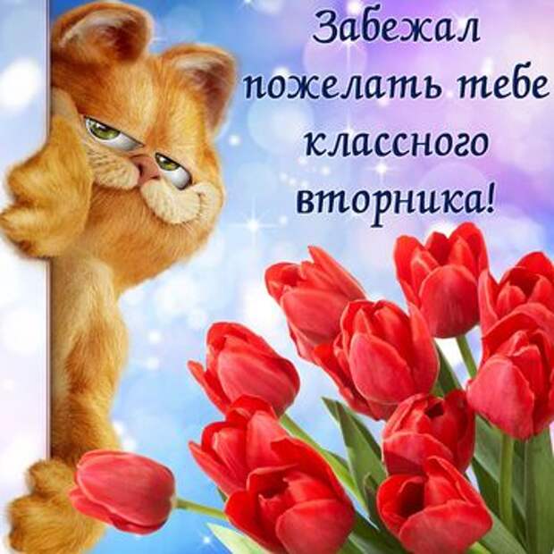 поздравления вотсап