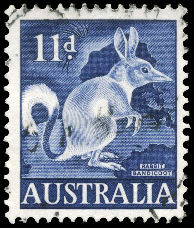 Австралийская почтовая марка с изображением кролика