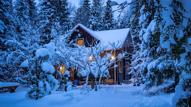 Первые 30-градусные морозы пришли в Подмосковье