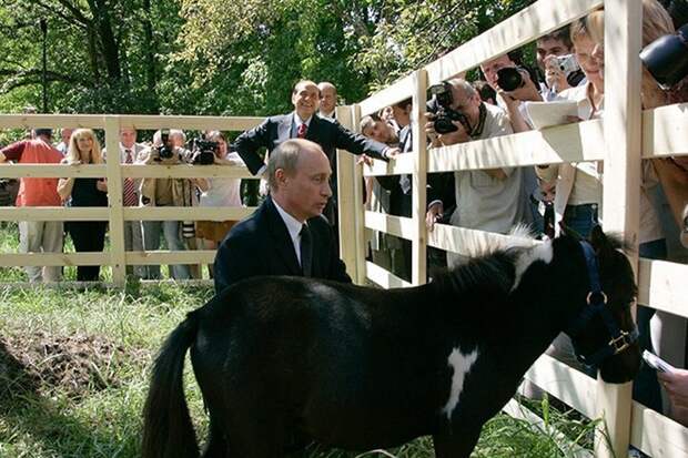 Что дарят Владимиру Путину