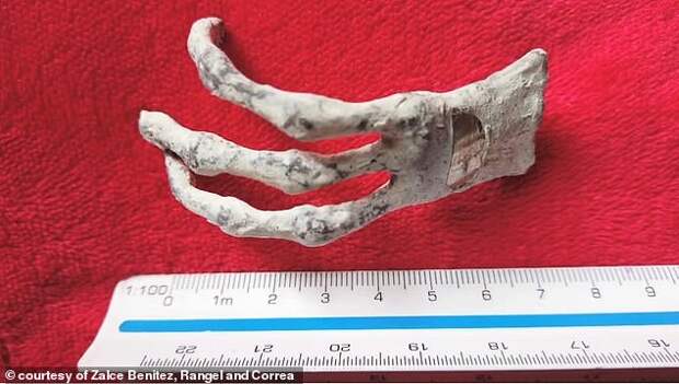 Эксперты, изучающие перуанские "инопланетные мумии", сделали поразительное открытие при вскрытии их тел