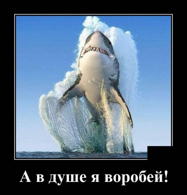demotivatory-demotivator-smeshnye-demotivatory-demotivator-so-smyslom