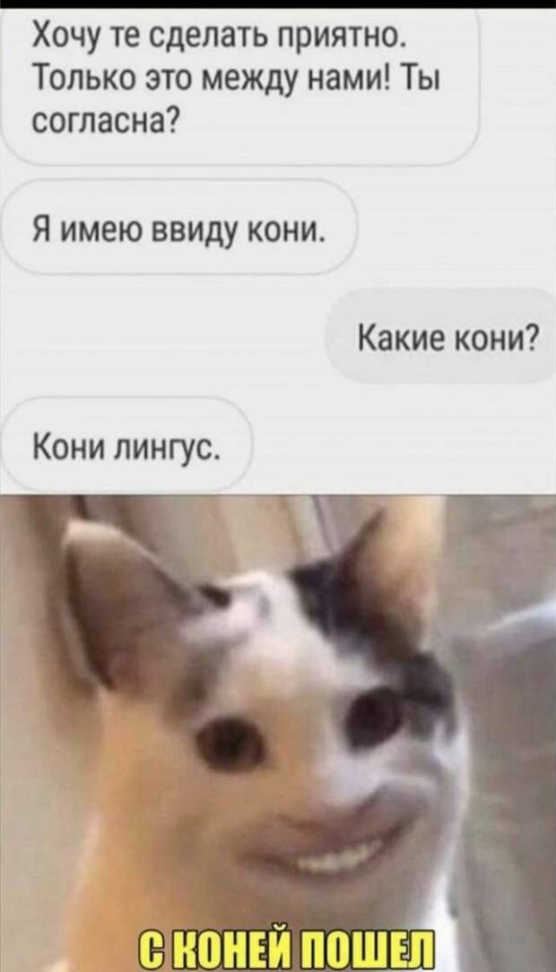 Забавные шутки и мемы из интернета