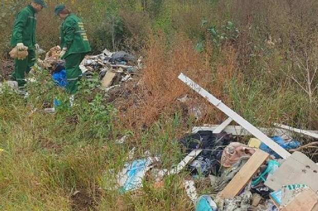 За несанкционированную свалку власти Моршанского округа заплатят 7 млн рублей