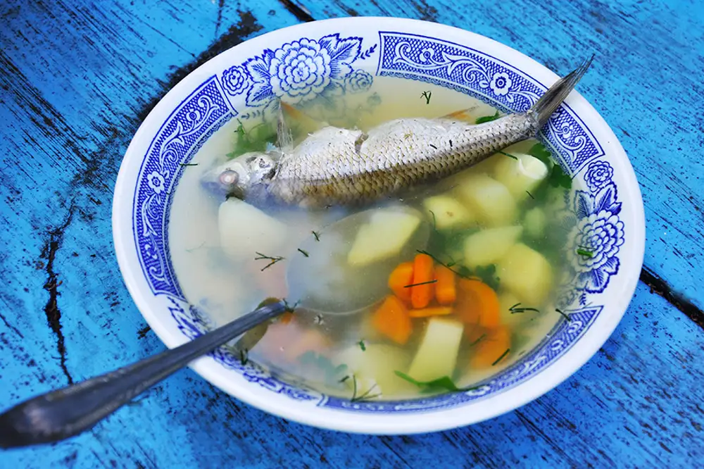 Детский рыбный суп. Уха из рыбы. Уха из Речной рыбы. Суп из Речной рыбы. Речная рыба для ухи.
