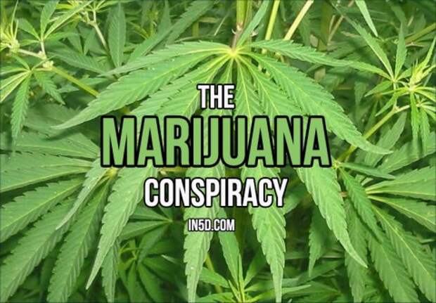 The Marijuana Conspiracy: The Real Reason why Hemp is ILLEGAL