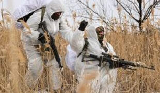 Битва за Константиновку: Наши рвутся к дороге из Дружковки, чтобы «съесть слона по кусочкам» 