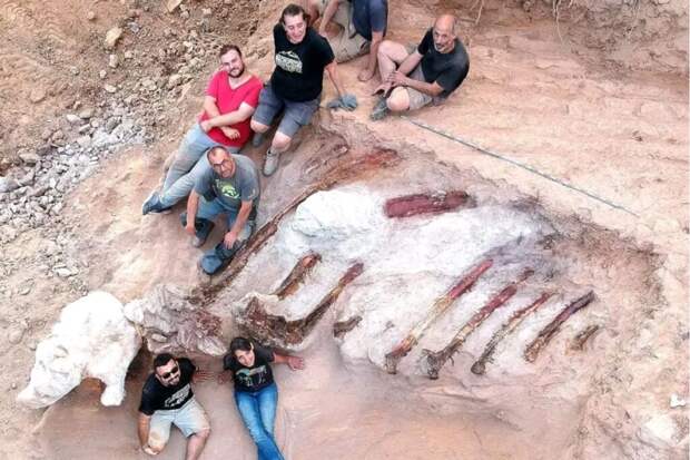 Если бы не астероид: ученые предположили судьбу динозавров