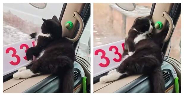 Самый важный пассажир