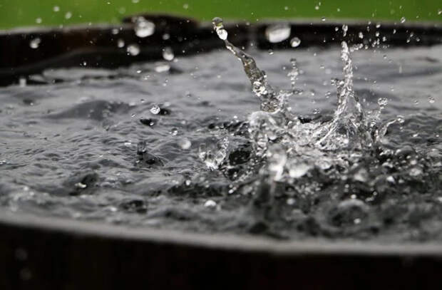 Сбор дождевой воды становится решением проблемы засухи в Теленештском районе