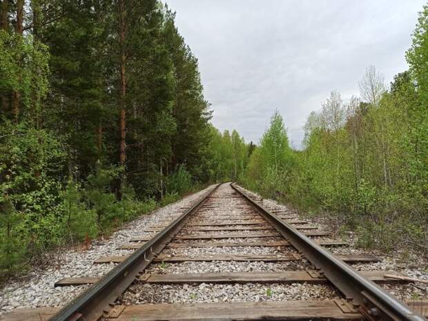 На железной дороге в Приамурье погибла пожилая женщина