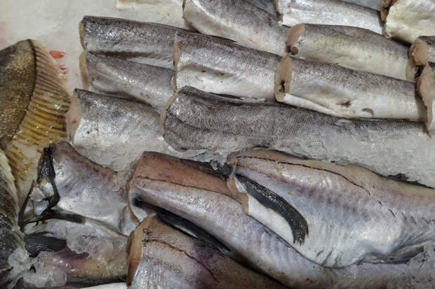 Россия стала продавать ЕС больше рыбы