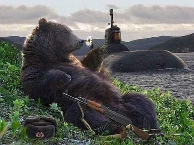Почему России оказались не нужны союзники
