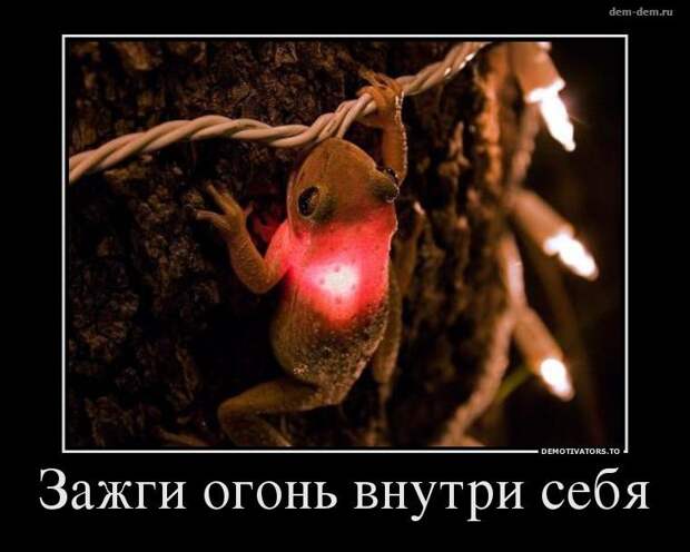 30 демотиваторов дня от 11-02-2014