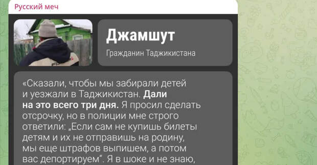 "В ауле только комната": Джамшута с 7 детьми выдворяют из России за нарушения