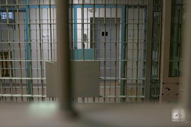 Осужденный за коррупцию экс-замглавы управления МЧС Даудашвили попросился на СВО