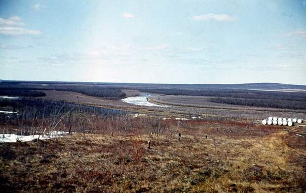 Шангина (Часть вторая)