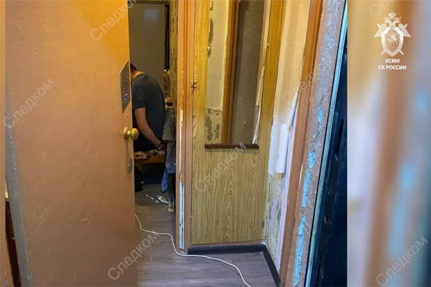 Раскрыты подробности допроса о похищенной в Смоленске девочке