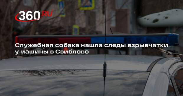 Служебная собака нашла следы взрывчатки у машины в Свиблово