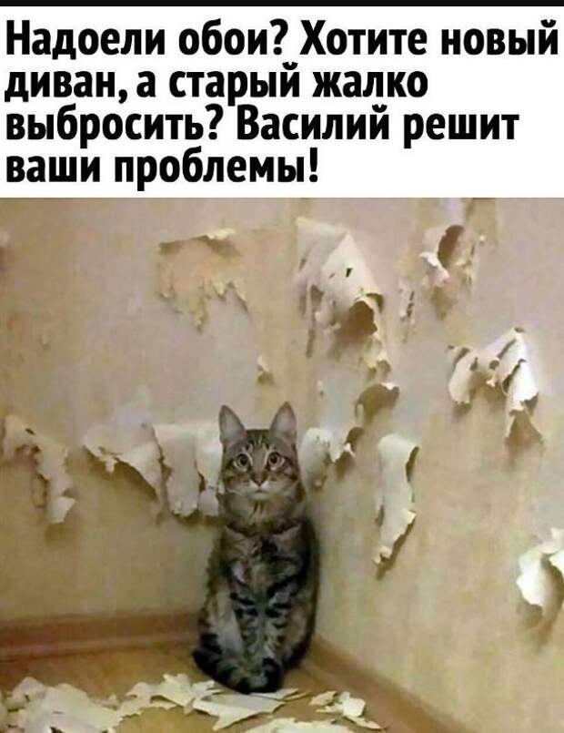 картинки с надписями ржачных (9)